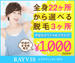 rayvis250x208